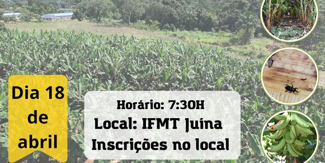 IFMT Juína promove o 3° Dia de Campo da Agricultura Familiar com foco na cultura da Banana